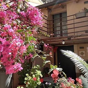  Maison d'hôtes Mizzicahome Solemare